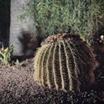 Daniel Halliwell - Instagram Profile Picture of Daniel Halliwell (@halliwell_641) on Instagram