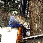 Profile Picture of Tony Kimball (@tony660k) on Instagram