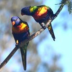 Profile Picture of Adrian Penn (@shot_by_shot69) on Instagram