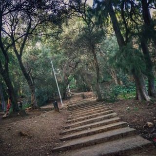 Profile Picture of Mina Elena (@MinaElena2) on Twitter