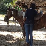 Profile Picture of Ranyelly Lacerda Dos Anjos (@rany.l.d.a) on Instagram