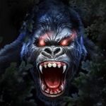 Profile Picture of Davi Chuster (@davichuster) on Instagram