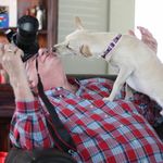 Profile Picture of Jim Warner (@jim.warner.927) on Instagram