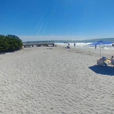 Profile Picture of Andrew Bickerton (@AndrewBickerto2) on Twitter