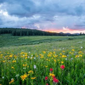 Profile Picture of Alvin Soriano (@alvinsoriano5759) on Youtube