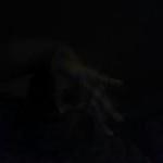 Profile Picture of carlden trotter (@carldentrotter) on Instagram