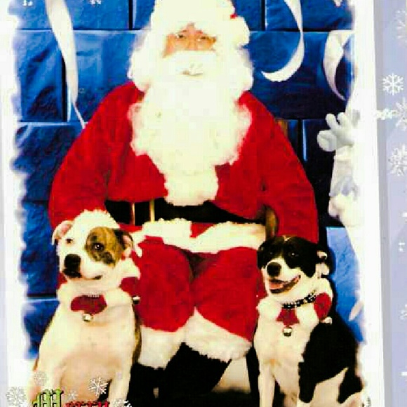 Profile Picture of Robin Brady (@jasblou) on Poshmark