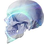 Profile Picture of Nicholas Breuer (@thejewishfro) on Instagram