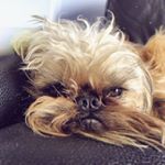Profile Picture of Hugo Barba Negra (@hugobarbanegra) on Instagram