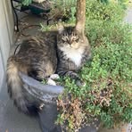 Profile Picture of Bruce McKee (@Bruce-McKee) on Facebook