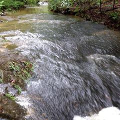 Profile Picture of Heather Kilzer (@heatherkilzer) on Tiktok