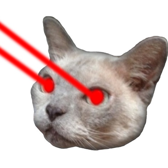 Profile Picture of Kim Dolbeer (@awesomelylame) on Poshmark