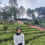 Profile Picture of Anissah Sari (@Anissah-Sari) on Facebook