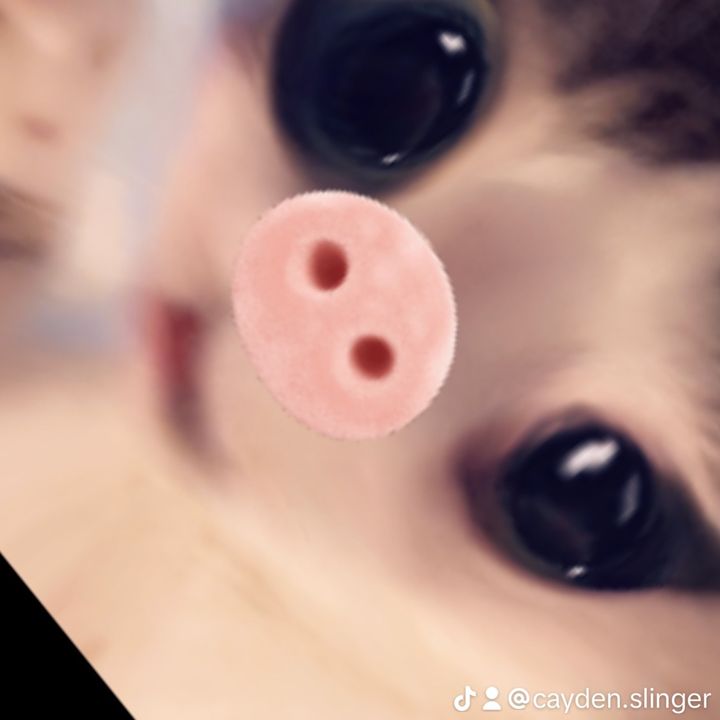 Profile Picture of Cayden Slinger (@cayden.slinger) on Tiktok