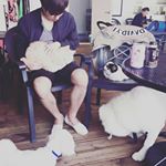 Profile Picture of 신민철 (@lsmc_alice) on Instagram