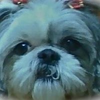 Profile Picture of Karen Zatek (@karen-zatek) on Quora