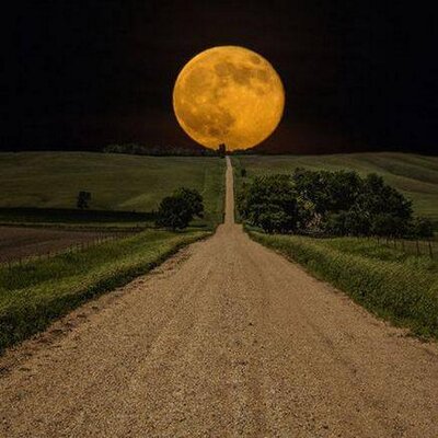 Profile Picture of RobbeSmith (@RobbeSmith) on Twitter