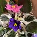 Profile Picture of Thomas Brott (@thomas.brott.165) on Facebook