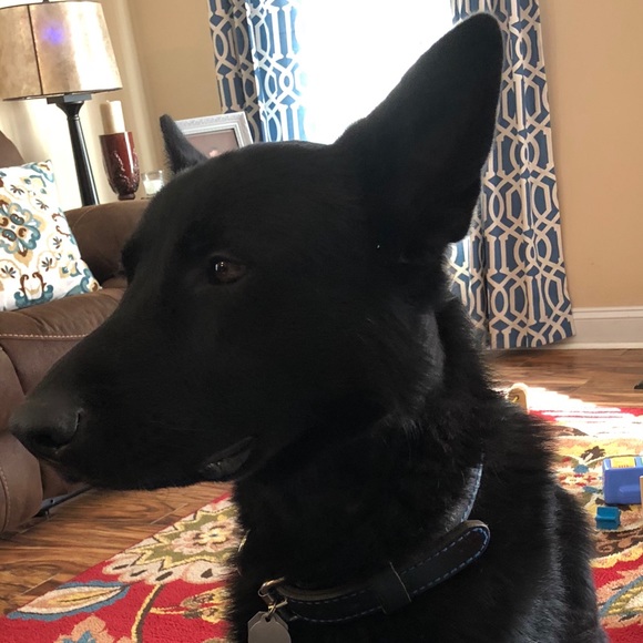 Profile Picture of Haley Vradenburgh (@haley8917) on Poshmark