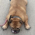 Profile Picture of Jason Harvison (@redag1998) on Instagram