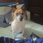 Profile Picture of Janet Gruber (@janet.gruber.179975) on Facebook