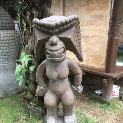 Profile Picture of Paul Geering (@ptgeering) on Twitter