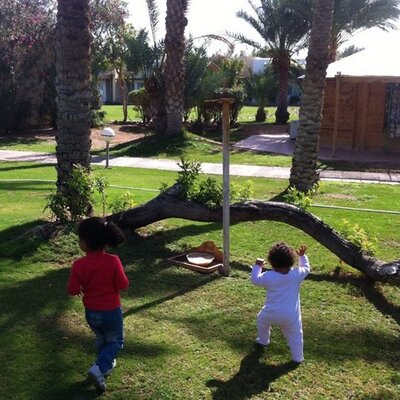 Profile Picture of Ibrahim Taha (@ibrahimtaha12) on Twitter