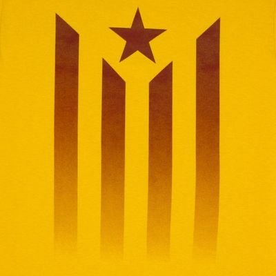 Profile Picture of Adam Calvet Bohl (@AdamCalvet) on Twitter