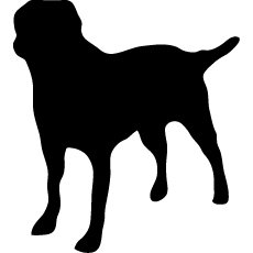 Profile Picture of Joe Knight (@josephwknight) on Twitter