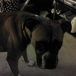 Profile Picture of Shawn O'Keefe (@shawn.okeefe.560) on Facebook