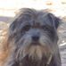 Profile Picture of Greg Newman (@gregory.newman.58) on Facebook