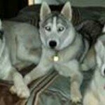 Profile Picture of Debra Peterson (@debra.peterson.127) on Instagram