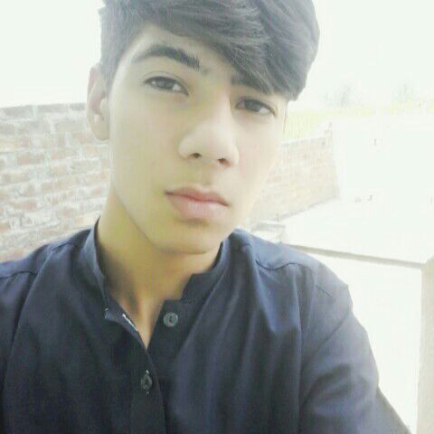 Profile Picture of Steve Granger (@@stevegranger) on Tiktok