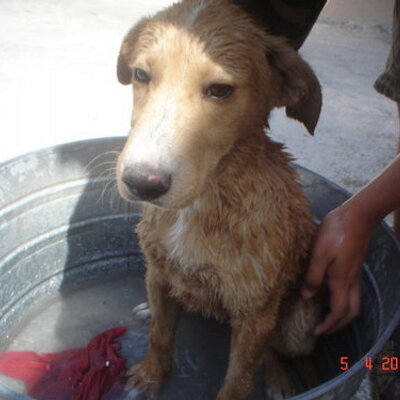 Profile Picture of Rodrigo Zapata (@rodrigozapata16) on Twitter