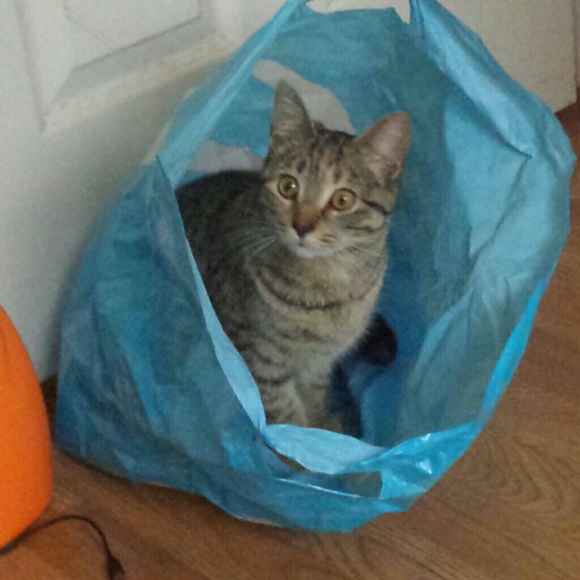 Profile Picture of Sheranda Sorrell (@sheranda8) on Poshmark