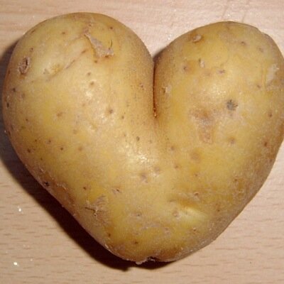 Profile Picture of Laura Dailey FanClub (@Flurra4Lurra) on Twitter