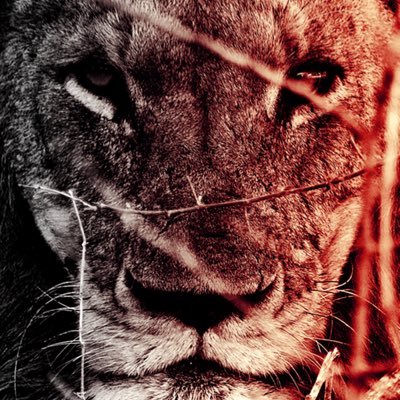 Profile Picture of James Rasmussen (@DraggingAsphalt) on Twitter