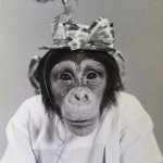 Profile Picture of David Lee (@lightgrenade) on Instagram