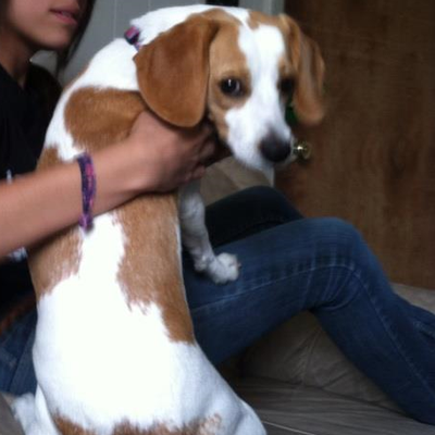 Profile Picture of Stephen Vela (@Stephen_Vela) on Twitter