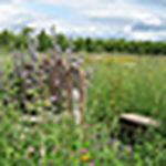 Patti Coulter Van Gorden - Flickr Profile Picture of Patti Coulter Van Gorden (@pvgx2) on Flickr