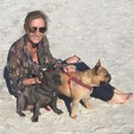 Profile Picture of Cathy Bailey (@cathylynnbailey) on Instagram