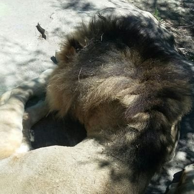 Profile Picture of Jeffrey Montgomery (@creepergonnacr1) on Twitter