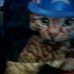Profile Picture of Zeek James (@zeek.james.7393) on Facebook