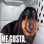 Profile Picture of coreylinnea (@coreylinneaj) on Instagram