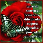 Profile Picture of felix gutierrez (@felixgutierrez994) on Instagram