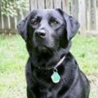 Profile Picture of Steve Arsenault (@steve-arsenault-4) on Quora