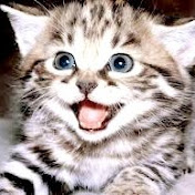 Profile Picture of Cesia Hernandez (@cesiah94) on Youtube