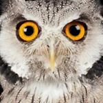 Rodney Stanford - Instagram Profile Picture of Rodney Stanford (@rodney.stanford) on Instagram