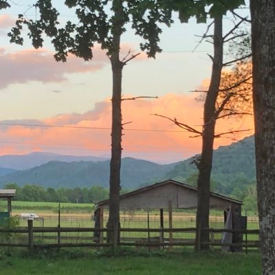 Profile Picture of Cory Knowlton (@cjkeagle112) on Twitter