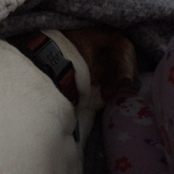 Profile Picture of Sandra Picano (@sandrapicano) on Poshmark